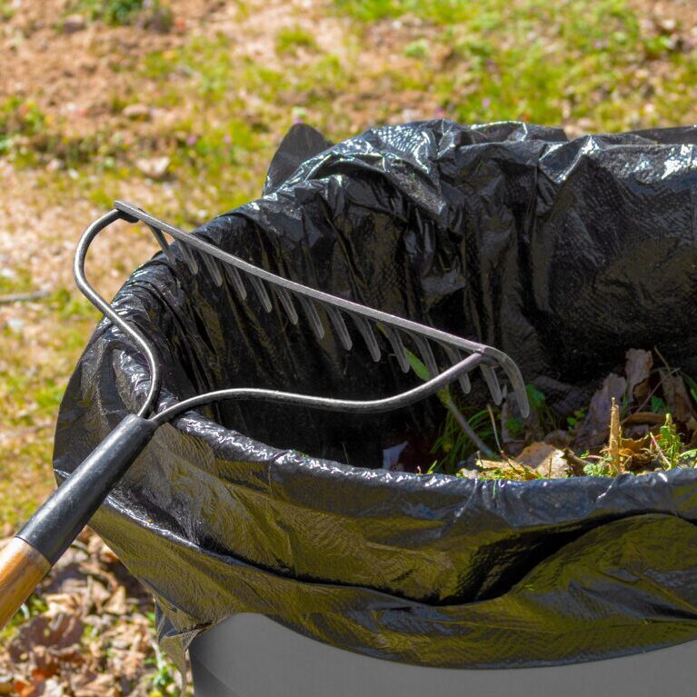 trashcan with leaves